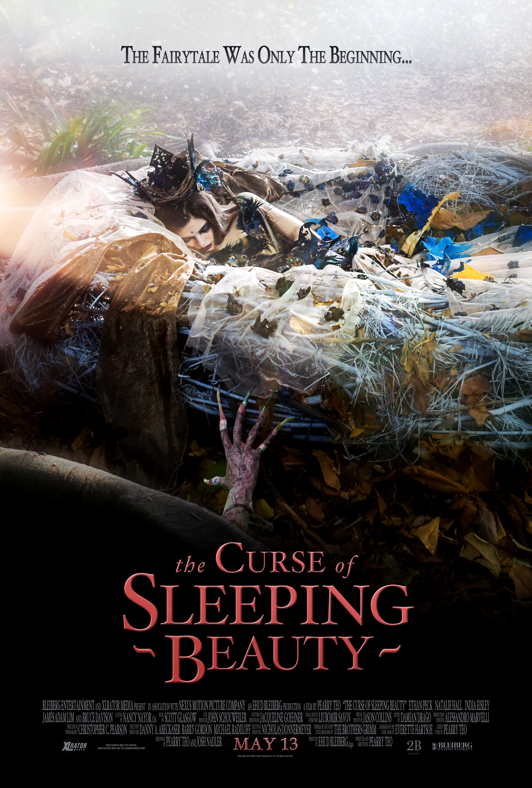 Mega Sized Movie Poster Image for The Curse of Sleeping Beauty (#2 of 3)