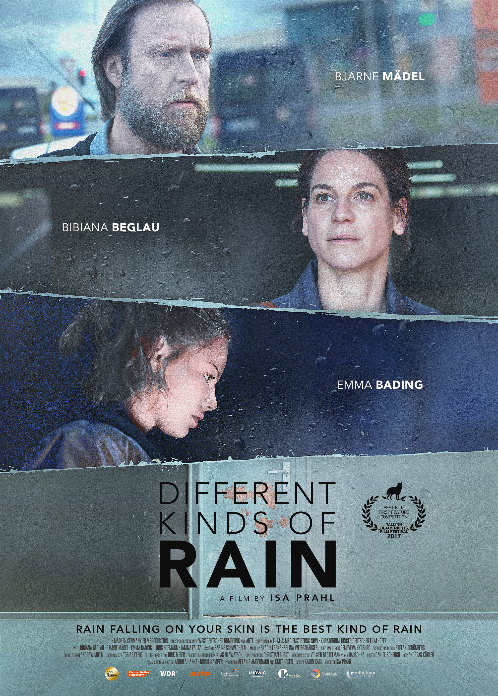 Mega Sized Movie Poster Image for 1000 Arten Regen zu beschreiben (#2 of 2)