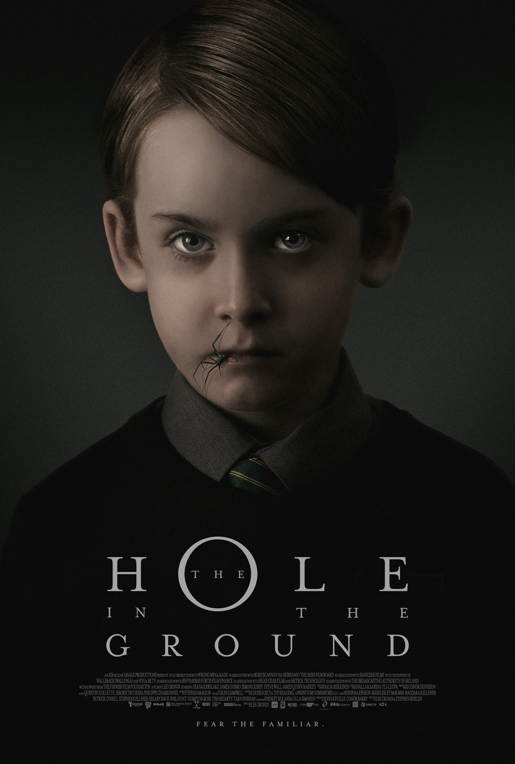 Extra Large Movie Poster Image for The Hole in the Ground (#1 of 5)